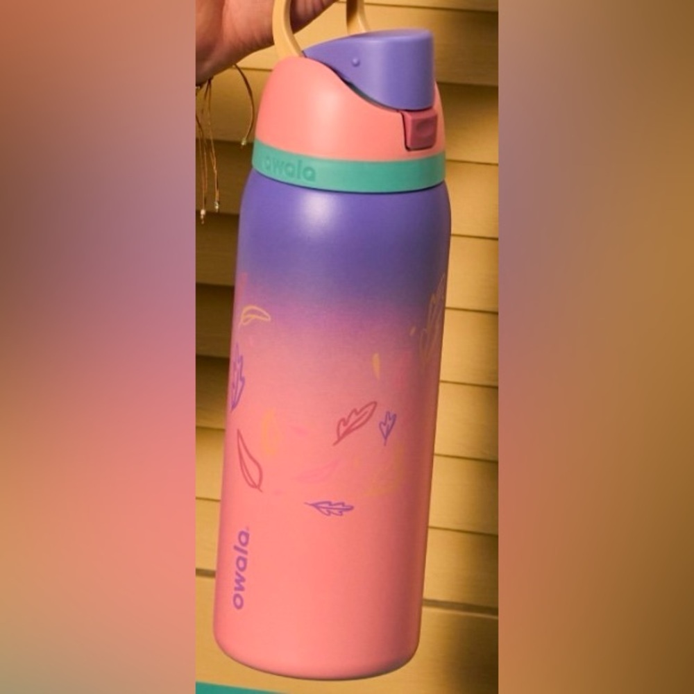 Owala limited edition Pocahontas cup